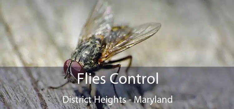 Flies Control District Heights - Maryland