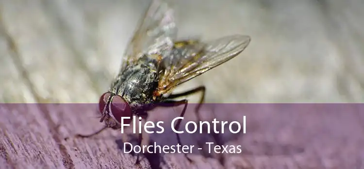 Flies Control Dorchester - Texas