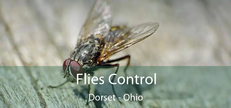 Flies Control Dorset - Ohio