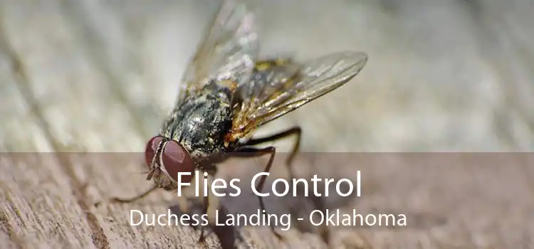 Flies Control Duchess Landing - Oklahoma
