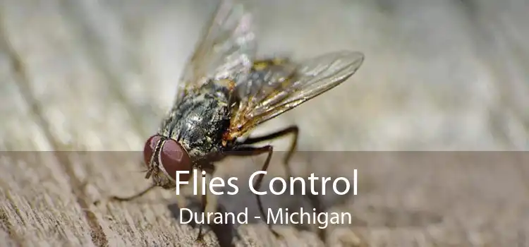 Flies Control Durand - Michigan