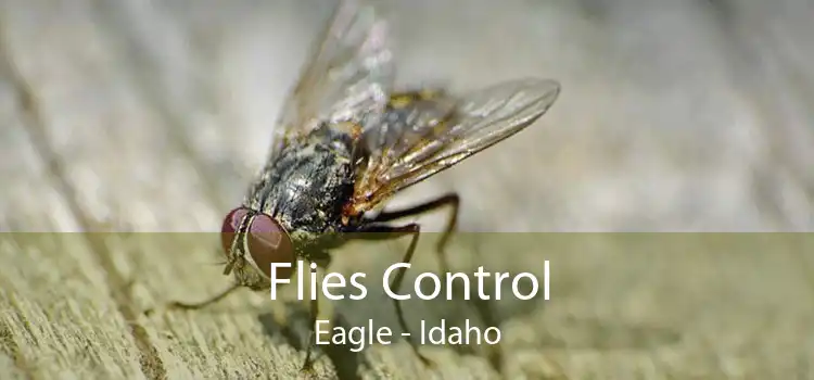 Flies Control Eagle - Idaho
