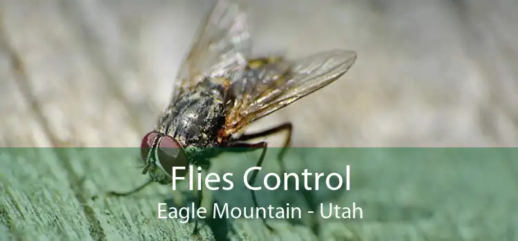 Flies Control Eagle Mountain - Utah