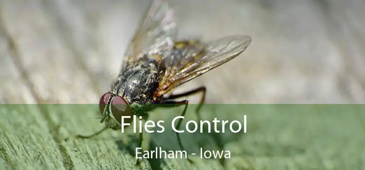 Flies Control Earlham - Iowa