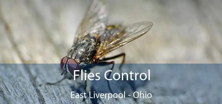 Flies Control East Liverpool - Ohio