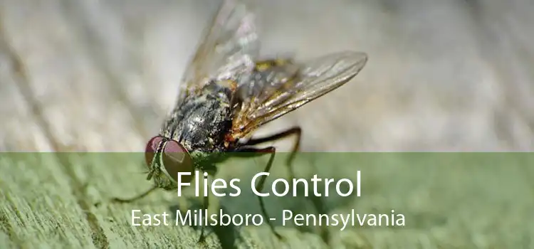Flies Control East Millsboro - Pennsylvania