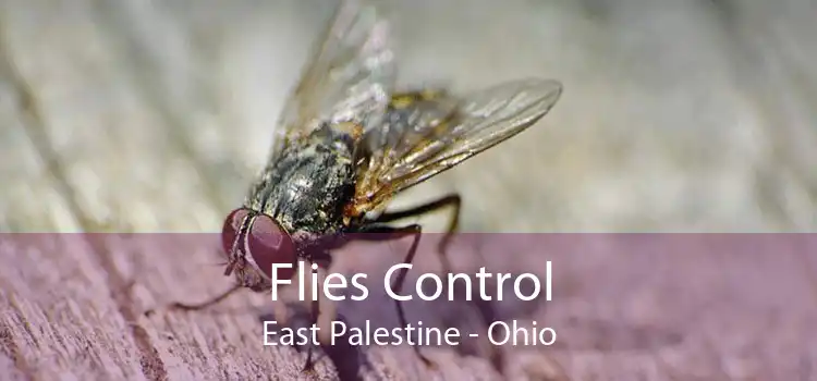 Flies Control East Palestine - Ohio