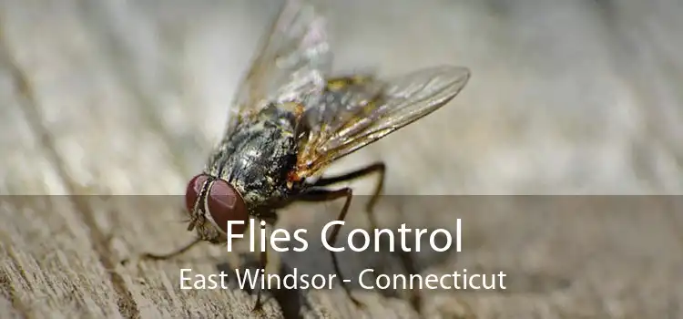 Flies Control East Windsor - Connecticut