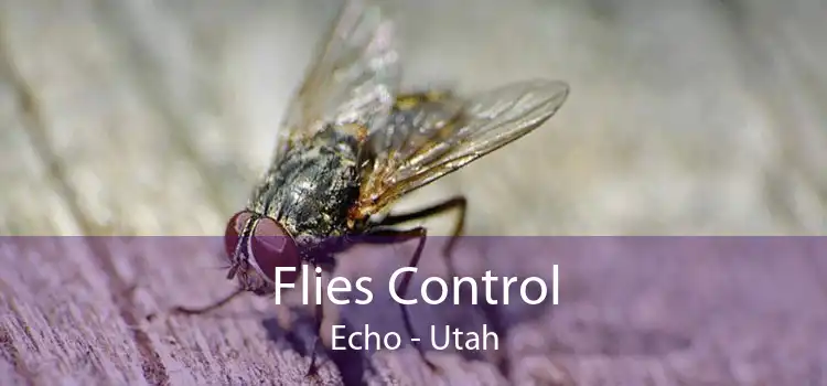 Flies Control Echo - Utah