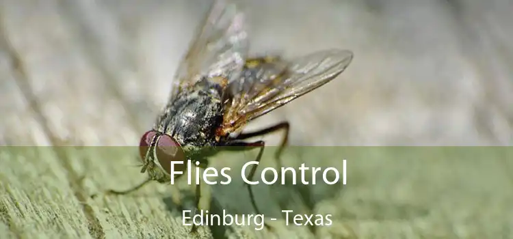 Flies Control Edinburg - Texas