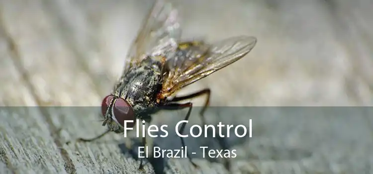 Flies Control El Brazil - Texas