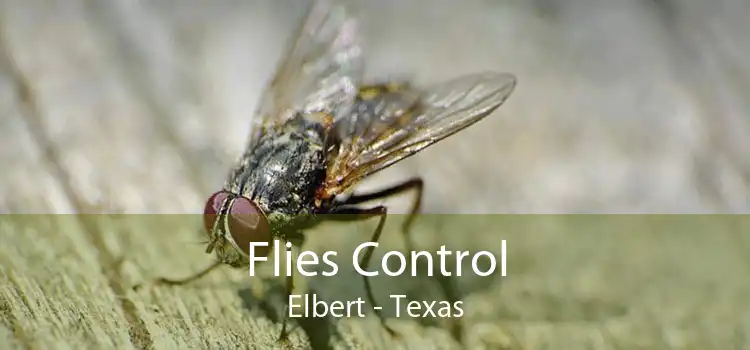 Flies Control Elbert - Texas