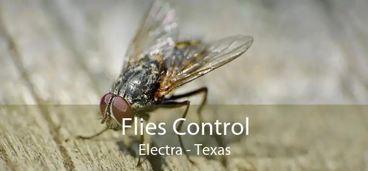 Flies Control Electra - Texas