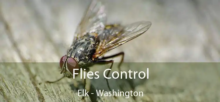 Flies Control Elk - Washington