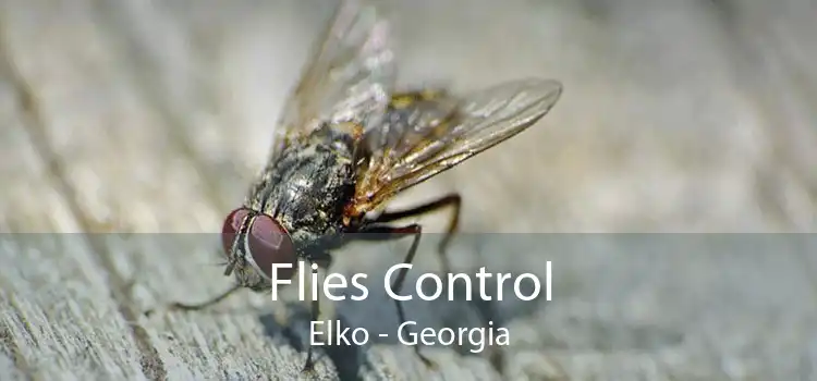 Flies Control Elko - Georgia