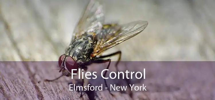 Flies Control Elmsford - New York