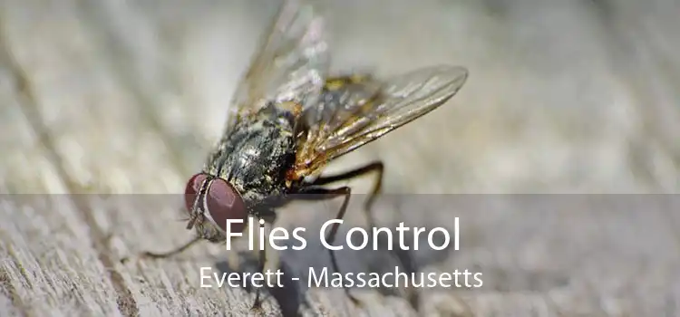 Flies Control Everett - Massachusetts