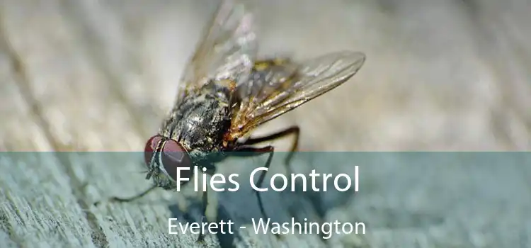 Flies Control Everett - Washington