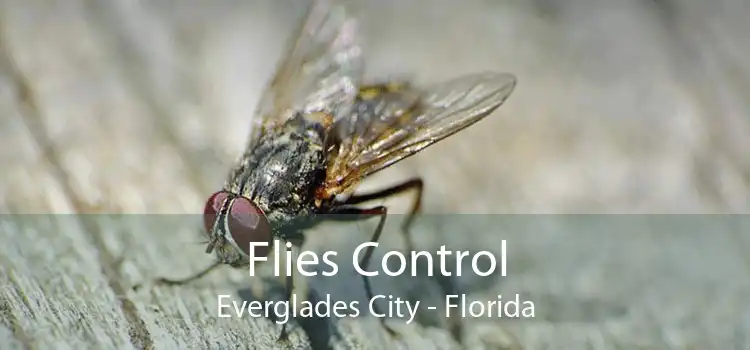 Flies Control Everglades City - Florida
