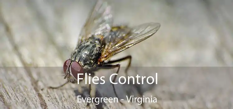 Flies Control Evergreen - Virginia