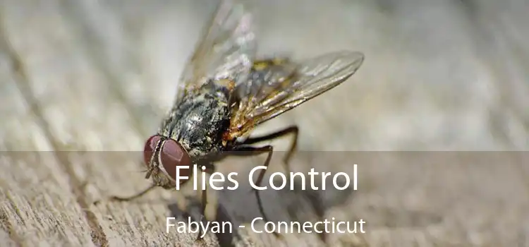 Flies Control Fabyan - Connecticut