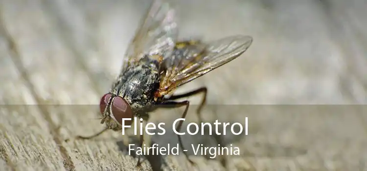 Flies Control Fairfield - Virginia