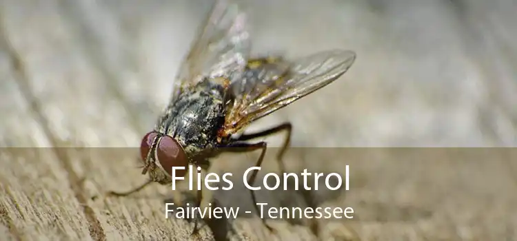Flies Control Fairview - Tennessee