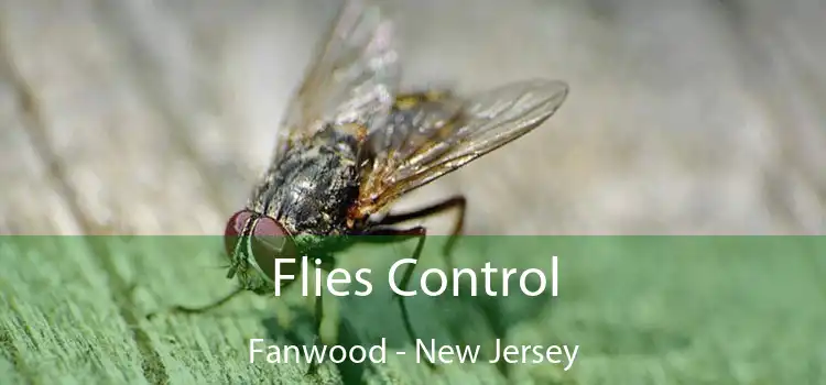 Flies Control Fanwood - New Jersey