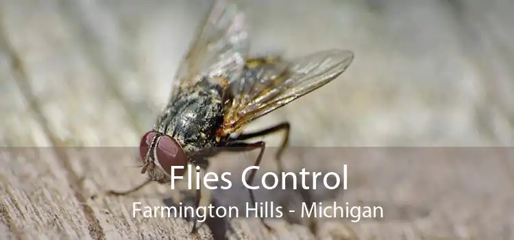 Flies Control Farmington Hills - Michigan