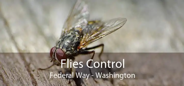 Flies Control Federal Way - Washington