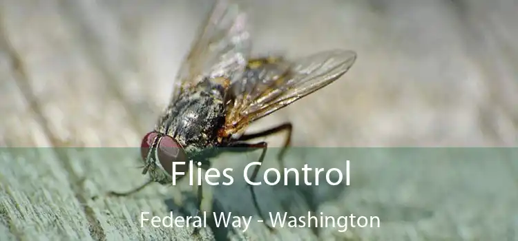 Flies Control Federal Way - Washington