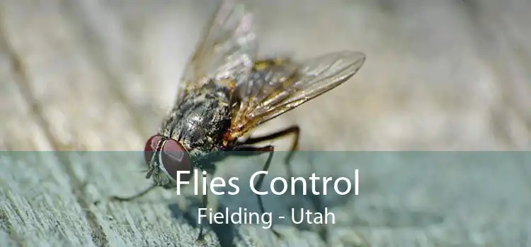 Flies Control Fielding - Utah