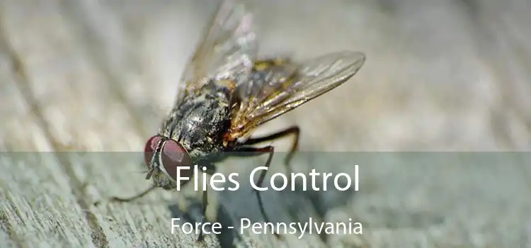 Flies Control Force - Pennsylvania