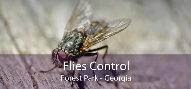 Flies Control Forest Park - Georgia