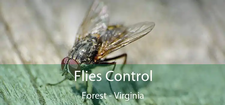 Flies Control Forest - Virginia