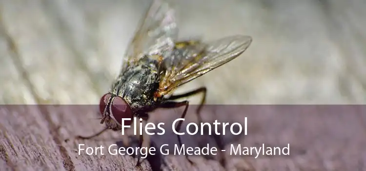 Flies Control Fort George G Meade - Maryland