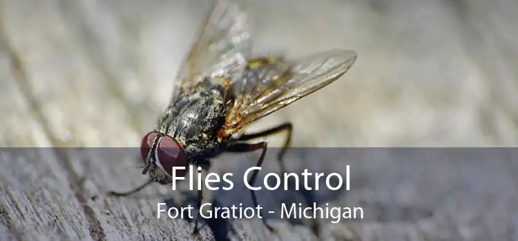 Flies Control Fort Gratiot - Michigan