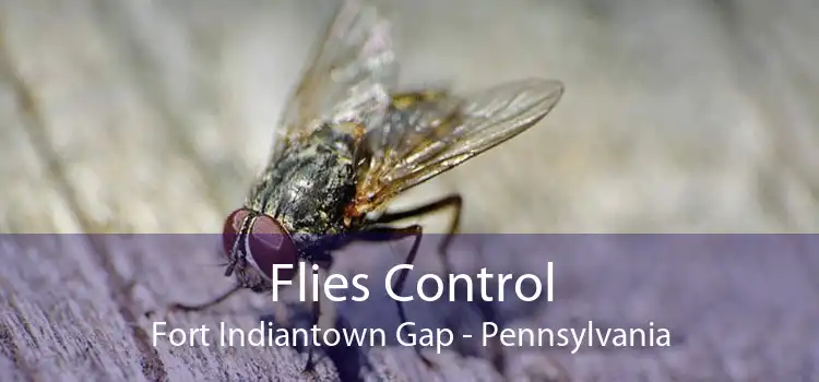 Flies Control Fort Indiantown Gap - Pennsylvania