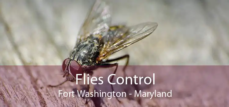 Flies Control Fort Washington - Maryland