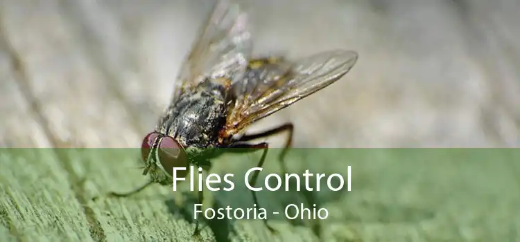 Flies Control Fostoria - Ohio