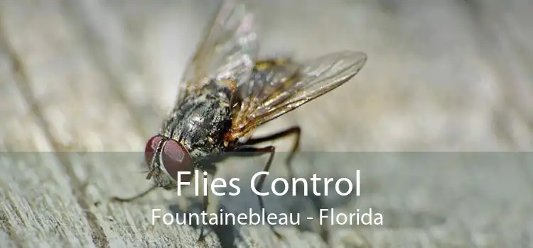 Flies Control Fountainebleau - Florida