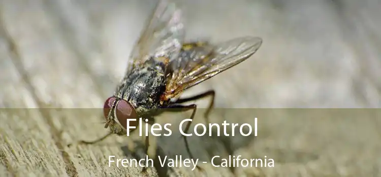 Flies Control French Valley - California
