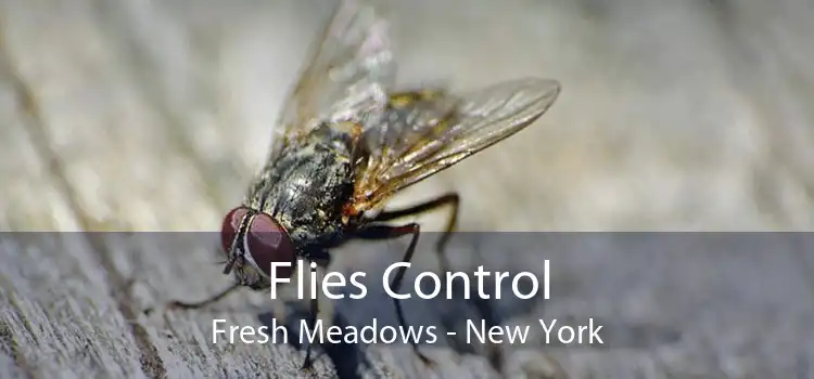 Flies Control Fresh Meadows - New York