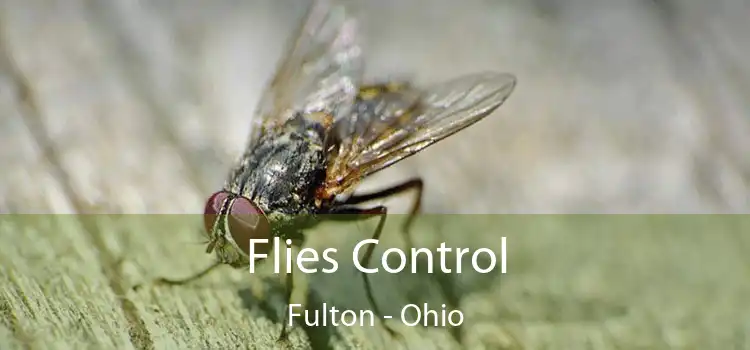 Flies Control Fulton - Ohio