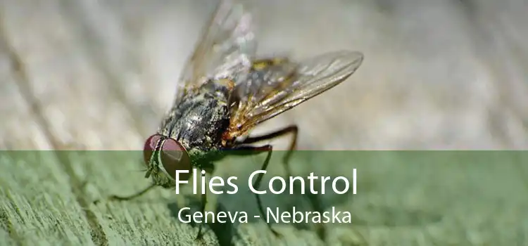 Flies Control Geneva - Nebraska