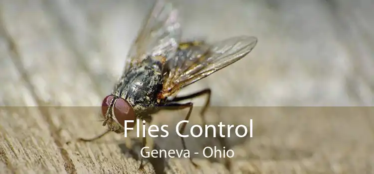 Flies Control Geneva - Ohio
