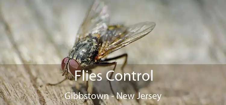 Flies Control Gibbstown - New Jersey