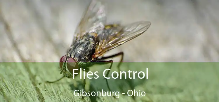 Flies Control Gibsonburg - Ohio