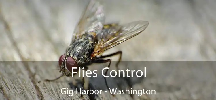 Flies Control Gig Harbor - Washington