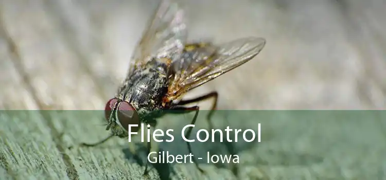 Flies Control Gilbert - Iowa